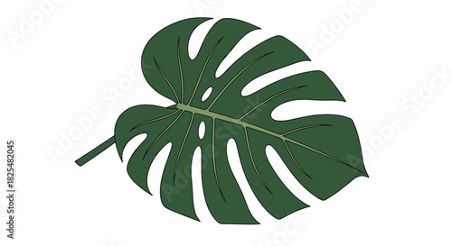 A stylized illustration of a single vibrant green Monstera leaf with its characteristic deep lobes and natural holes on a plain white background.