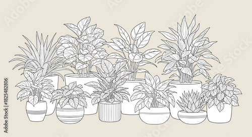 Minimalist line art illustration featuring a diverse collection of potted houseplants with various leaf shapes and pot styles.