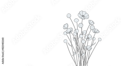 A delicate hand-drawn botanical illustration showcasing a beautiful cluster of wild flowers and emerging buds in grayscale.