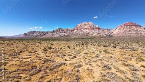 Aerial Red Rock Desert Mountains and Cactus Fly Through Forward Motion