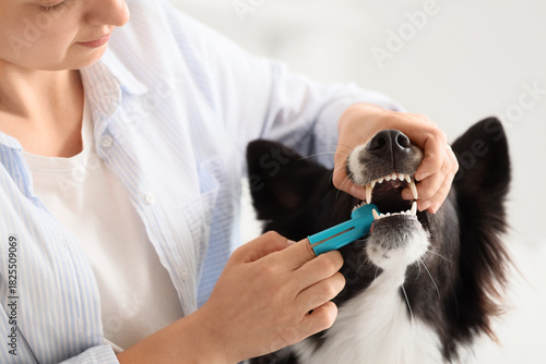 Owner brushing teeth of cut...