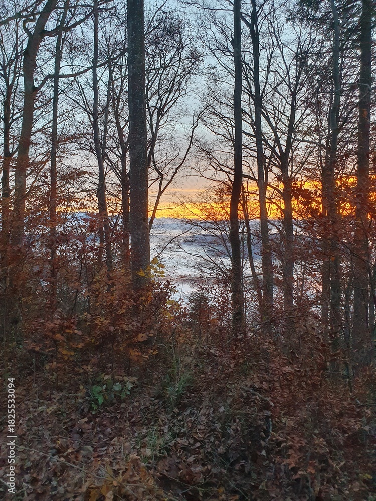Obraz premium Hochnebel und Sonnenuntergang beim Uetliberg. Der Uetliberg ist der Hausberg von Zürich und ein beliebtes Naherholungsgebiet.