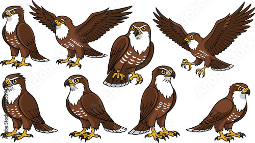 Collection of cartoon brown hawk in different poses isolated on white background vector illustration of a bird of prey, falcon, eagle, kite or buzzard