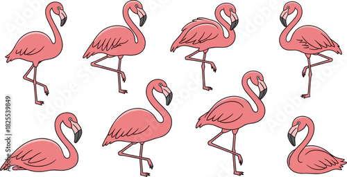 A delightful flock of pink flamingos standing gracefully on a white background, their elegant silhouettes creating a whimsical and tropical scene isolated on white background