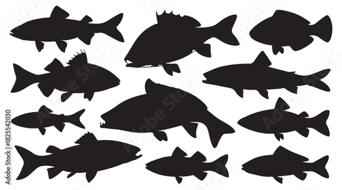 set of fish silhouettes 