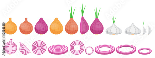 Fresh onion and garlic collection with different shape ripe onion garlic and onion slices round shape for cookbook and vegan food isolated