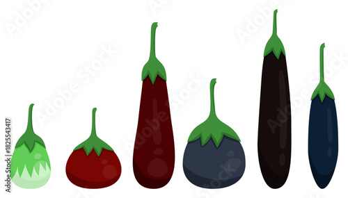 Fresh different type brinjal eggplant set with various color and shape for cookbook and vegan food