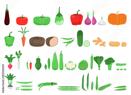 Fresh vegetables collection with different vegetable like brinjal tomato capsicum onion gourd pumpkin beetroot bean cauliflower potato and more for cookbook and vegan food