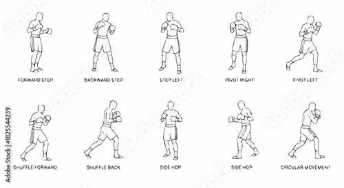 Collection of hand drawn boxer poses and fighting stances.