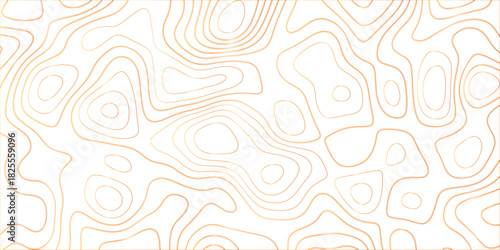 Topographic canyon geometric map relief texture with curved layers and shadow. abstract White background with a beautiful pattern, Topographic contour lines vector map seamless pattern vector.