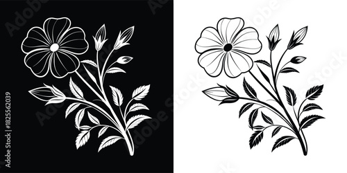 Delicate floral illustration featuring a blooming flower with buds and leaves, rendered in a sketch style, available in black and white
