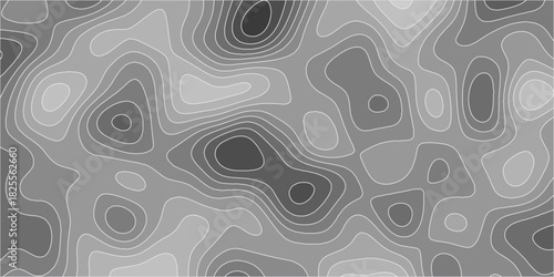 Topographic canyon geometric map relief texture with curved layers and shadow. abstract White background with a beautiful pattern, Topographic contour lines vector map seamless pattern vector.