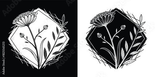 Duotone illustration of a delicate wildflower with leaves, set against a contrasting black and white background, framed by a distressed rhombus shape and scattered twigs