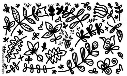 Various doodle flowers collection. hand drawn black outline drawing. Flowers, branches, plants. Spring summer decor