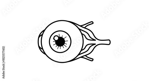 Detailed anatomical representation of the human eye, illustrating its complex structures vital for sight, perception, and visual health