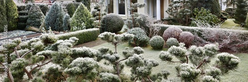 Hoarfrost covering a beautiful design winter garden with various topiary plants and evergreen shrubs