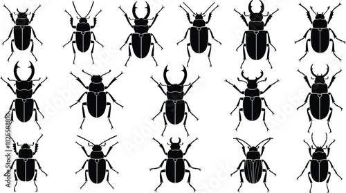 Beetle and stag beetle insect vector silhouette icon set, various species of bugs and large mandibles, entomology, nature, and wildlife graphic design elements collection.