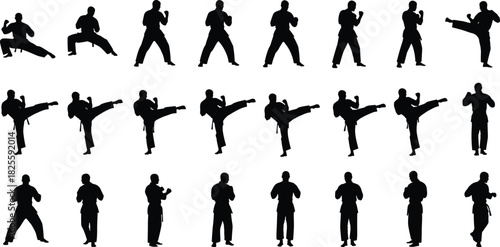 Karate and martial arts fighter silhouette set featuring men performing kicks, stances, punches, and combat poses black vector collection for sport, self-defense, and fitness training design.