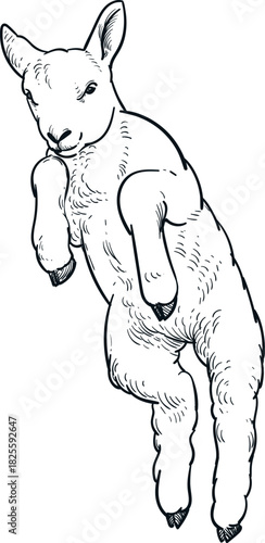 Vintage hand drawn sketch of jump sheep up