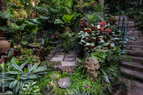Nature Gardens in Barbados Caribbean
