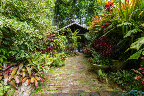 Nature Gardens in Barbados Caribbean
