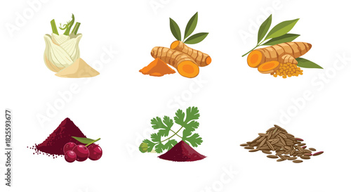 A diverse collection of healthy spices, herbs, and natural food ingredients including turmeric, fennel, sumac, and cumin, presented in various forms for culinary use.