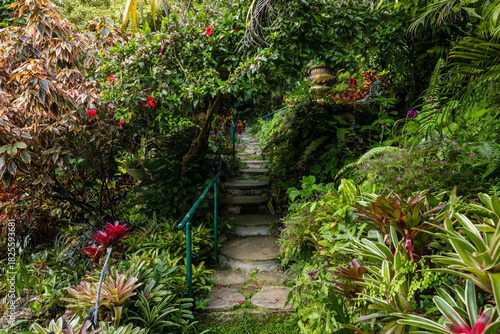 Nature Gardens in Barbados Caribbean
