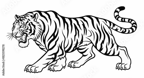 Striking Black and White Tiger Illustration with Detailed Stripes.