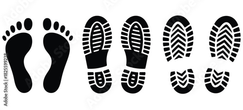 Adobe Illustrator Artwork