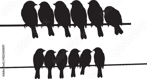 Birds silhouettes on wire two rows minimalist black and white