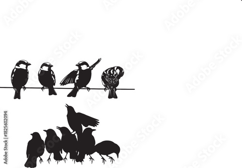 Silhouetted birds perched on a wire and ground black and white