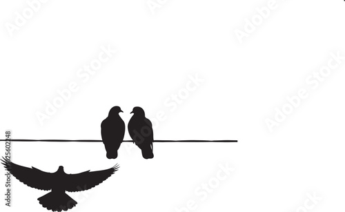 Birds on a wire with one bird flying away silhouette