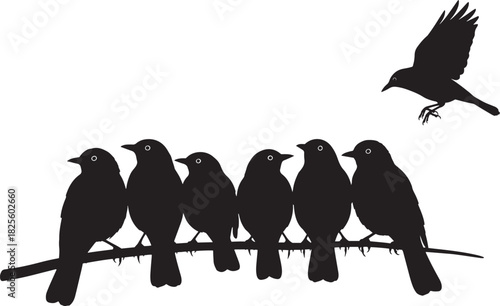 Silhouette of birds perched on branch with one flying away