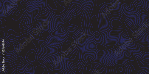Abstract dark topographic pattern with flowing contour lines, organic curves, and subtle blue lighting. Modern, minimal, and atmospheric background ideal for technology, mapping, or design projects.