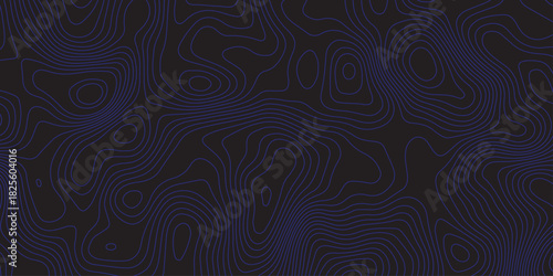 Abstract dark topographic pattern with flowing contour lines, organic curves, and subtle blue lighting. Modern, minimal, and atmospheric background ideal for technology, mapping, or design projects.