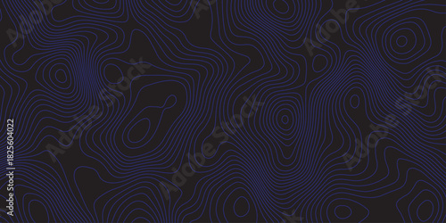 Abstract dark topographic pattern with flowing contour lines, organic curves, and subtle blue lighting. Modern, minimal, and atmospheric background ideal for technology, mapping, or design projects.