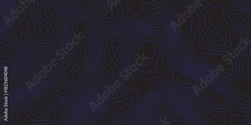 Abstract dark topographic pattern with flowing contour lines, organic curves, and subtle blue lighting. Modern, minimal, and atmospheric background ideal for technology, mapping, or design projects.