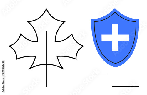 Maple leaf outline next to blue shield with cross, representing health, safety, and environmental care. Ideal for healthcare, insurance, nature, prevention, eco-friendliness wellness simple flat