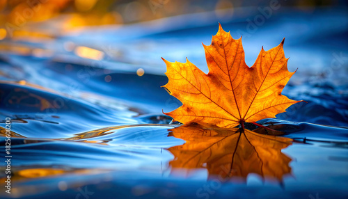 Autumn Leaf Reflection