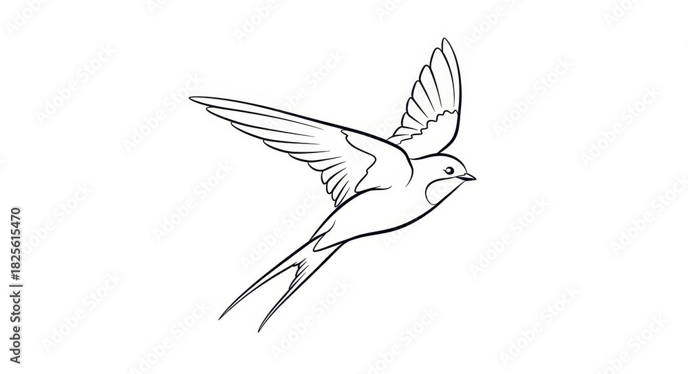 Obraz premium Stylized line drawing depicts a swallow bird soaring with wings fully extended