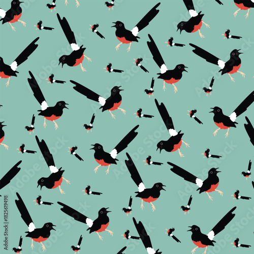 Background seamless pattern magpie robin bird