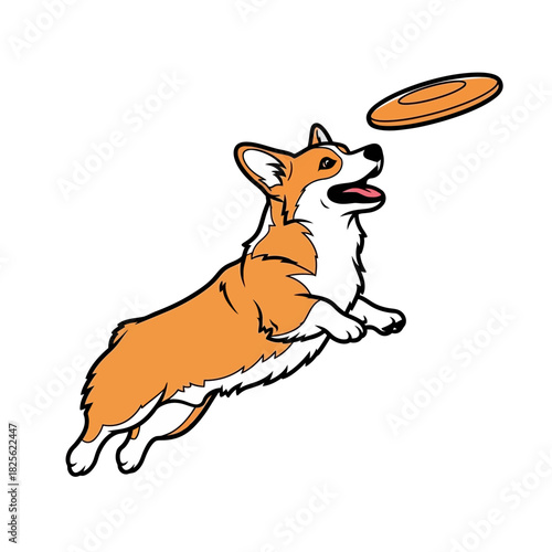 Happy Pembroke Welsh Corgi dog jumping to catch a frisbee.