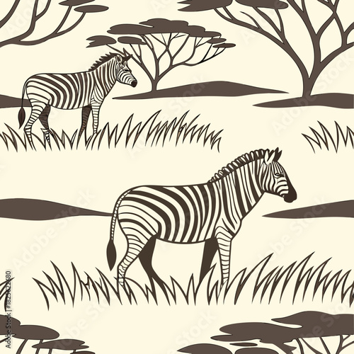 zebra