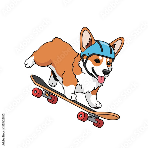 Adorable Corgi Dog Skateboarding with Blue Helmet on White Background.
