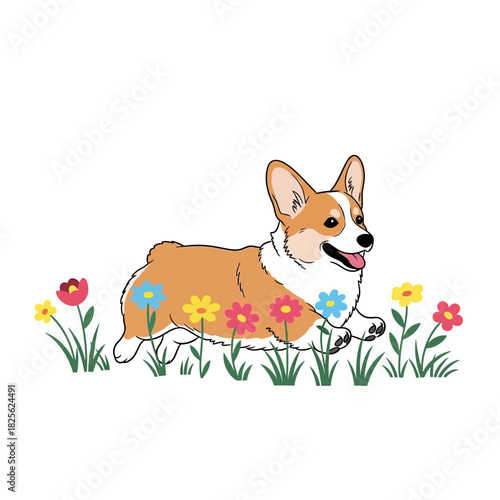 Cute Corgi Dog Enjoying a Field of Colorful Flowers.