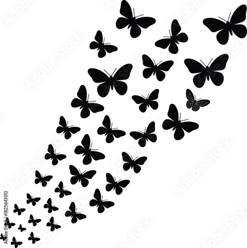 Flock of black butterflies silhouette flying upwards, nature swarm vector illustration, freedom concept, isolated insect migration, summer background design