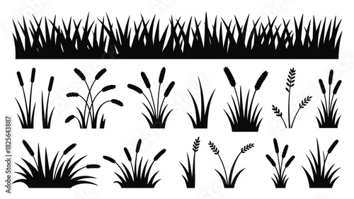 Grass and reed silhouettes vector set. collection of various tall plant icons, marsh and swamp flora, isolated botanical elements for design projects