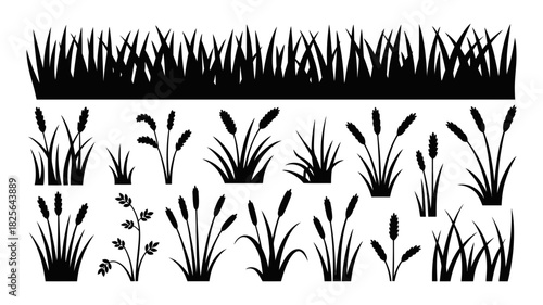 Various silhouetted grass, reed, and cattail elements. a collection of diverse natural plant shapes for design projects and borders.