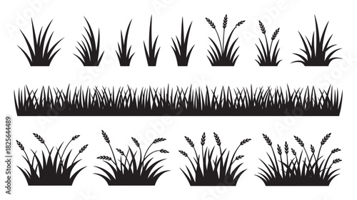 Vector silhouettes of diverse grass clumps, wheat, and oat stalks, isolated design elements for nature, garden, agriculture, and web projects.