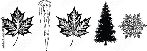 Black and white illustrations of maple leaves icicle pine tree and snowflake maple leaf
